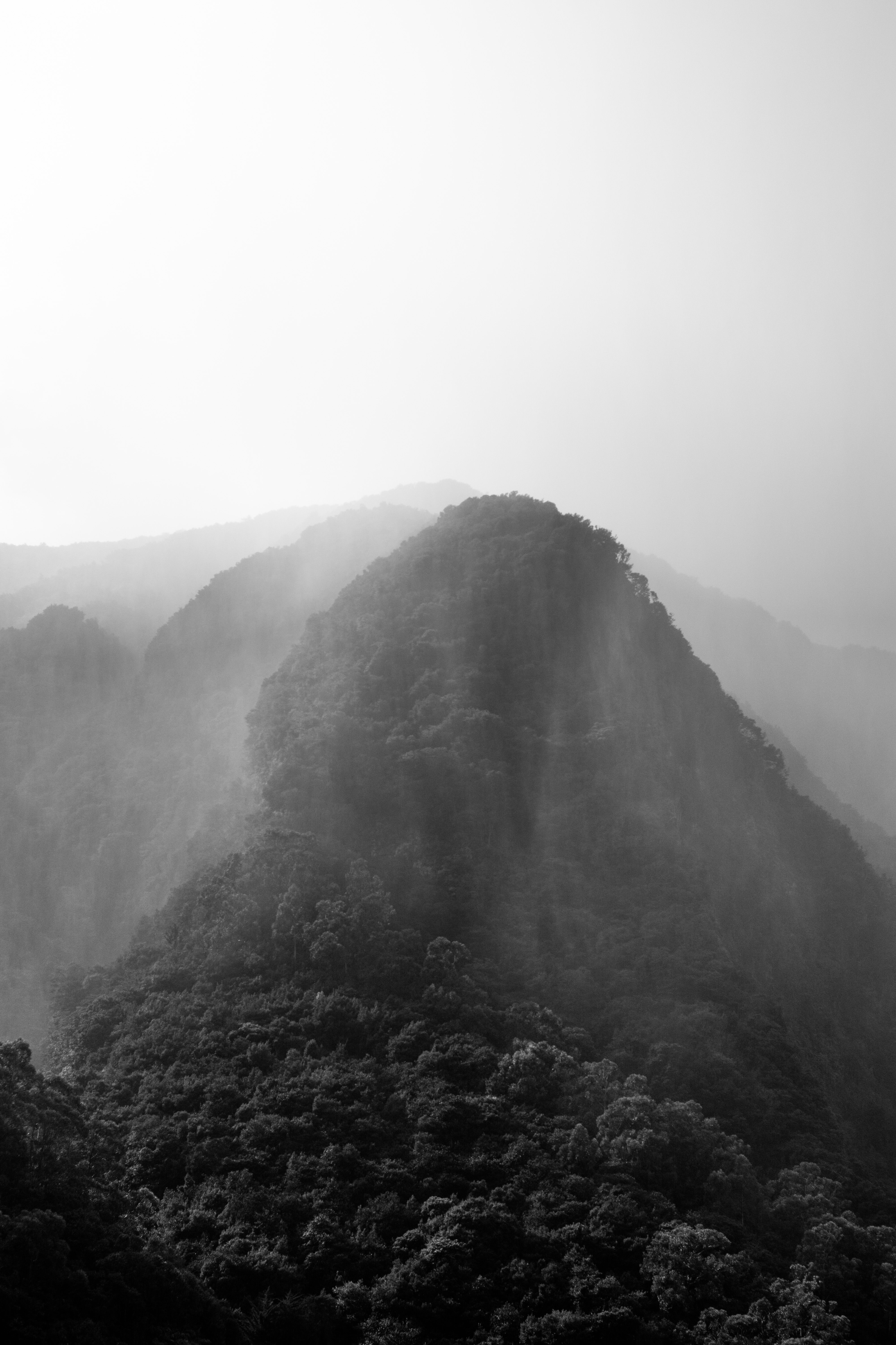 Foggy, densely forested mountain peaks rising high above each other