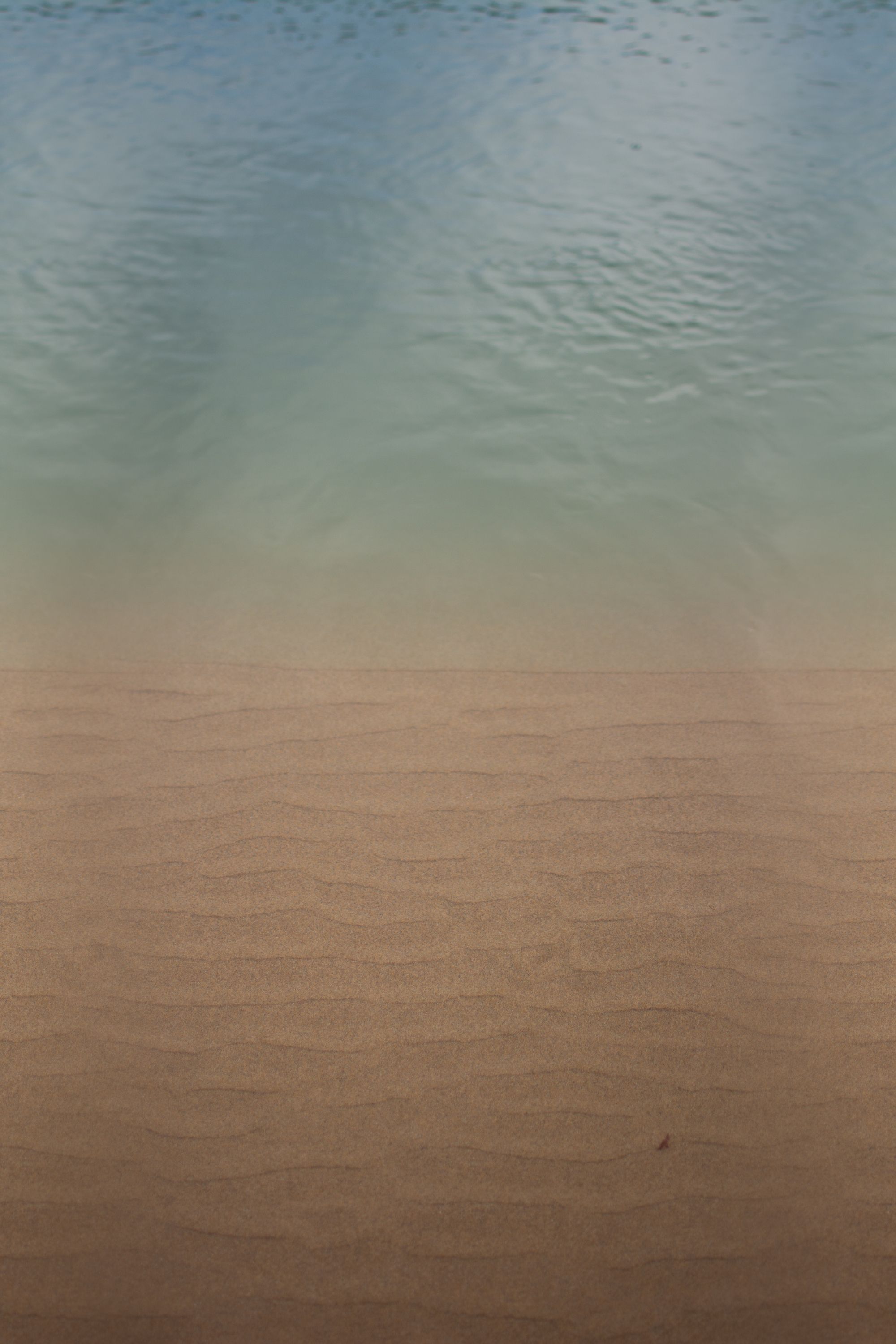 a sandy beach with water in the background