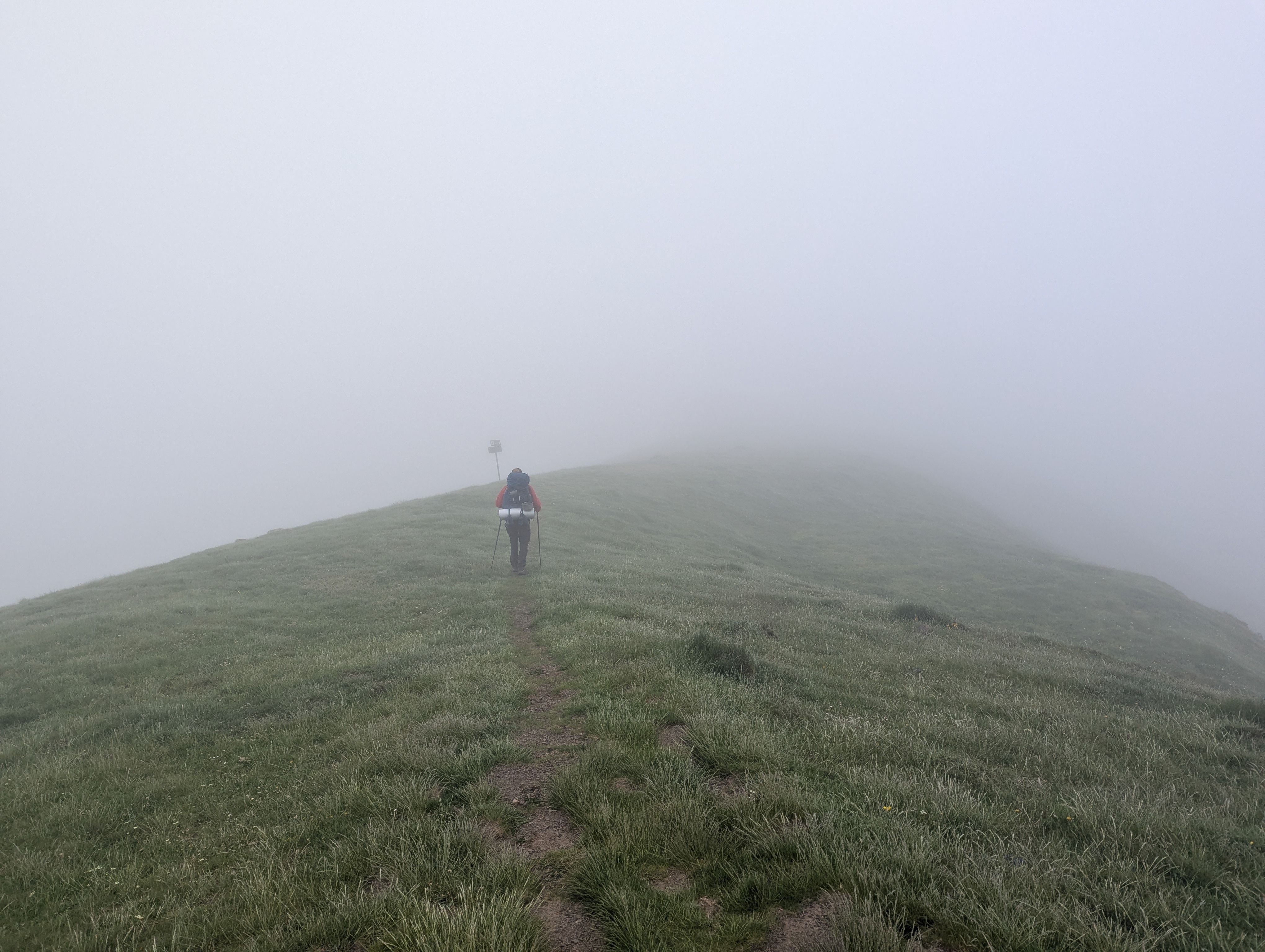 Eingetaucht in den Nebel