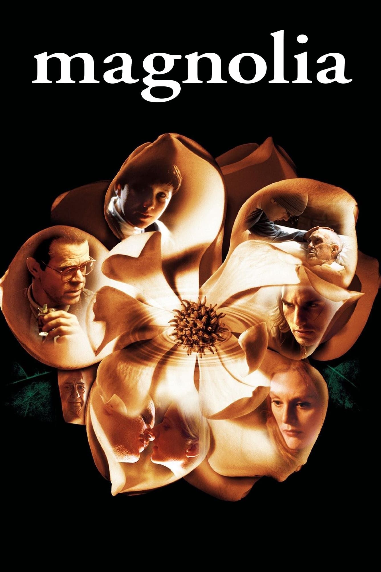 cover for Magnolia