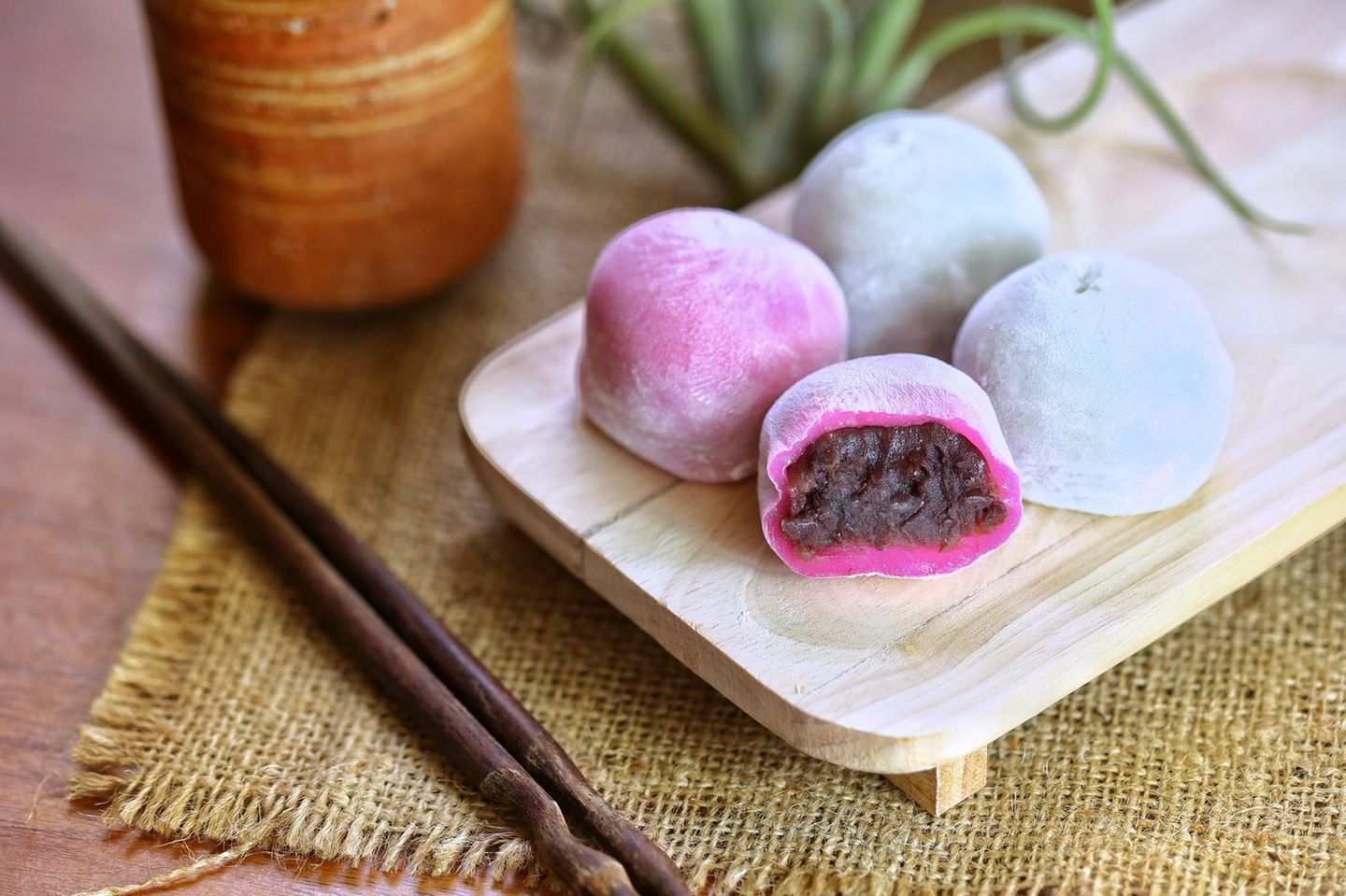 cover for Mochi